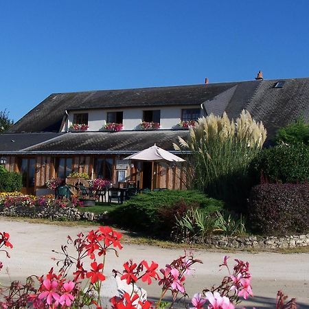 Logis Hotel Restaurant Le Vieux Fusil Soings-en-Sologne Buitenkant foto
